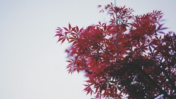 66F11A7C-4633-4BD1-A159-C810C596790C/L0/001