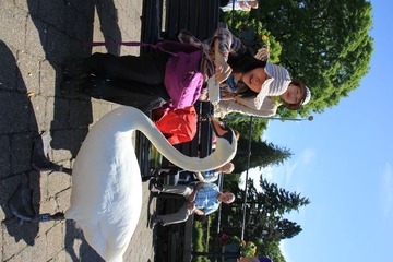 IMG_7886.JPG