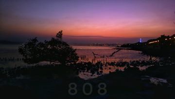 30068