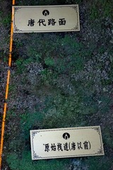 1000012050