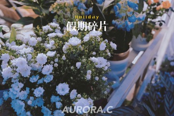 90513462-D777-401E-B222-578C68A33457/L0/001