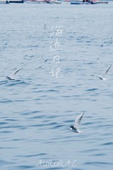2E967539-C53A-4857-A9AE-77E3242980A2/L0/001