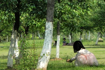 DSCN41082_mix01