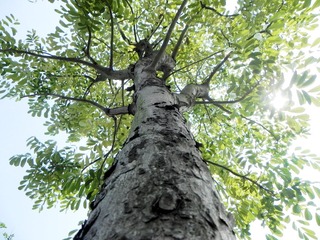 DSCN4153_mix01