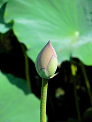 DSCN4936_mix01