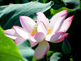 DSCN4940_mix01