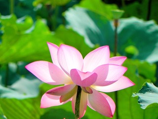 DSCN4931_mix01
