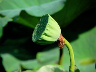 DSCN4939_mix01