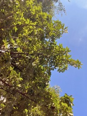 0D8E7CAE-80AD-47F7-8885-C6F25DE0601E/L0/001