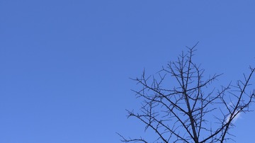 Optional("74C3B039-6241-4E64-B8CD-E827C7865EC5/L0/001")