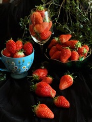 A460A799-8D77-4D07-A307-D04E82D77660/L0/001