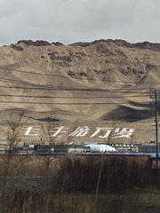 1000012983