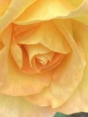 F86FD18F-1FC1-4B8C-B26B-286C5163DCCA/L0/001