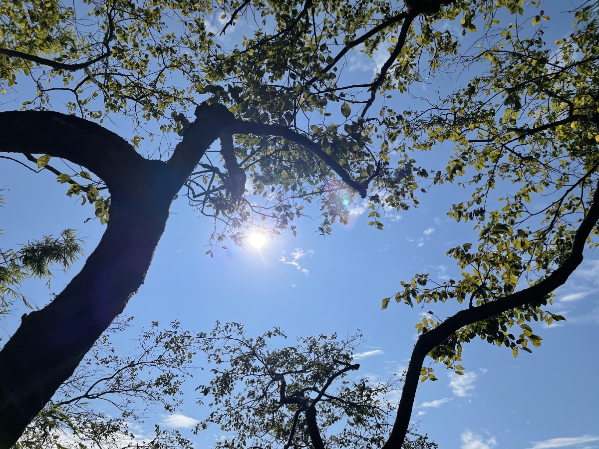 冬日的暖阳闭着眼很是舒坦