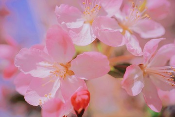 84260796-5D1B-41F8-A222-59FE319717C9/L0/001