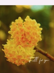 A66ABAD7-7256-4F3A-9878-BBB50866A5E0/L0/001