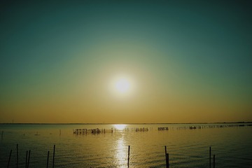 C7F6D778-4329-45AE-9990-E57B71886EDA/L0/001