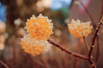 1D0FDE5E-BB4A-4AC1-AF2F-42F0B1219135/L0/001