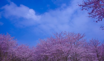 Optional("1B34E793-77E3-49FC-ABEE-C5C96E182858/L0/001")