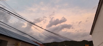 1000304929