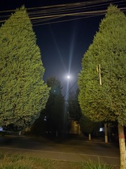 1000060737