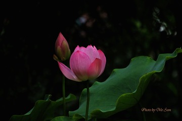 IMG_9559_看图王