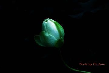 IMG_9673_看图王