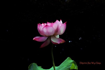 IMG_9669_看图王