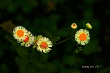 IMG_8325_看图王