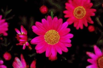 IMG_5345_看图王