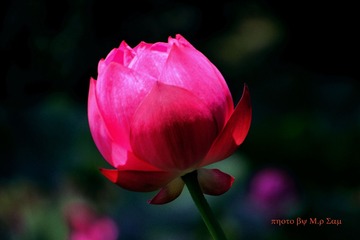IMG_9643_看图王