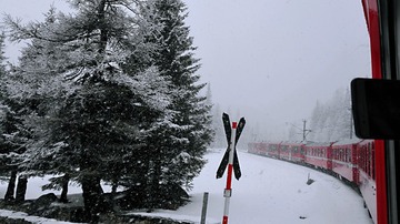 1500185