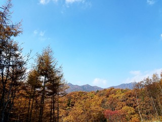 45E0C771-358D-4B35-9A0A-8A931B671999/L0/001