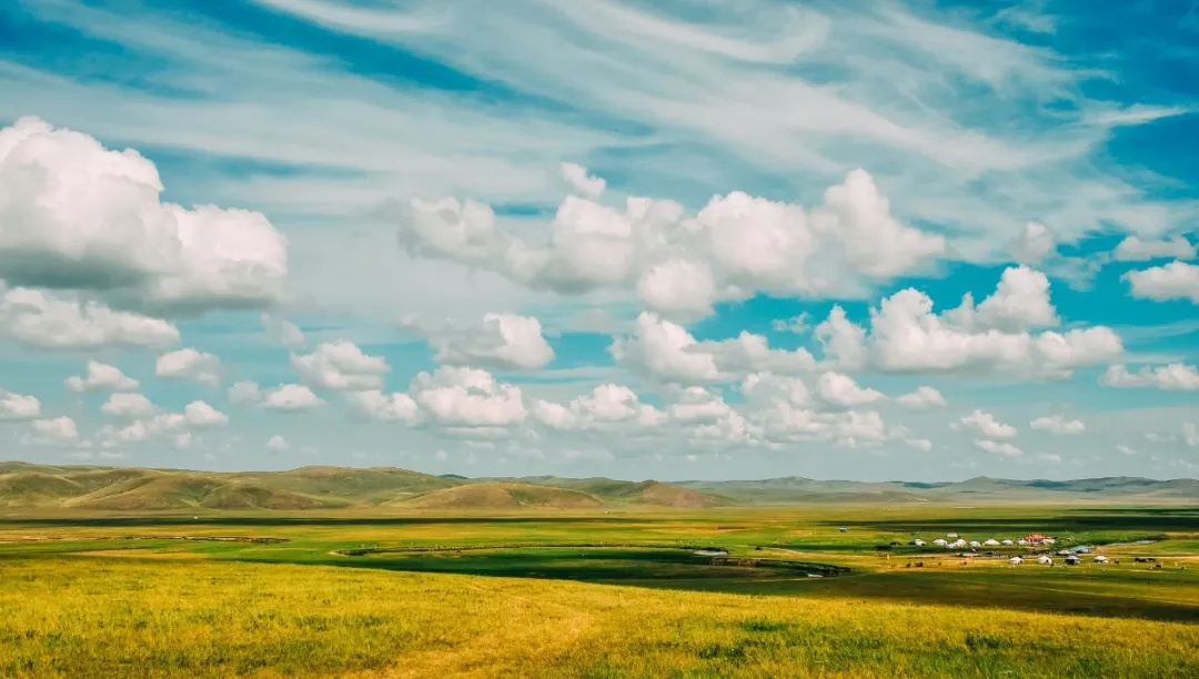全世界只有不到3的人关注了仙女壁纸啊你真的真的很了不起