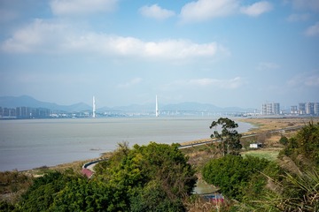209081