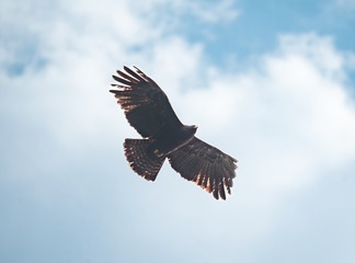 184642