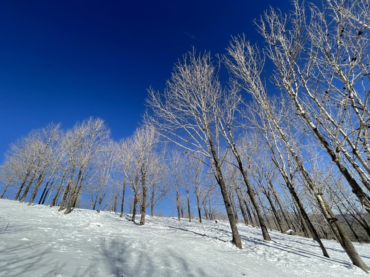 十二月羊草山和雾凇岛的美景对于南方人来说真是太撩人了分享一波