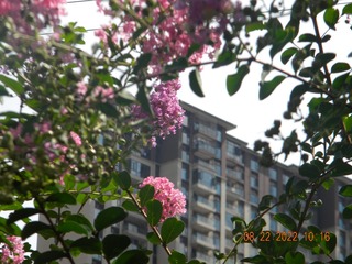 7DFE1BB7-D0AD-48BA-A61A-EEB606B20E5E/L0/001