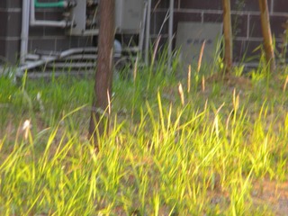 D070634C-7283-4DFE-BCD0-A15AF1499574/L0/001