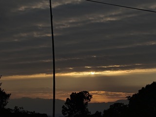 1000006677