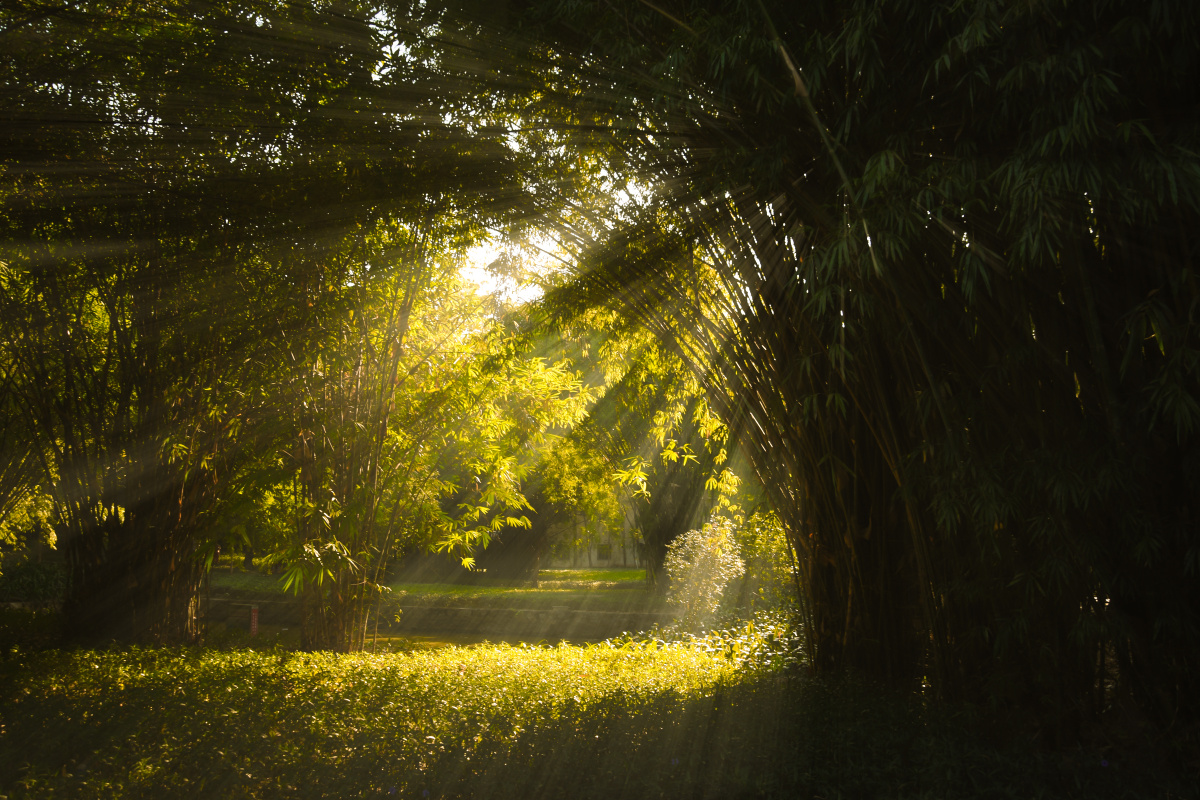 那是光透进来的地方