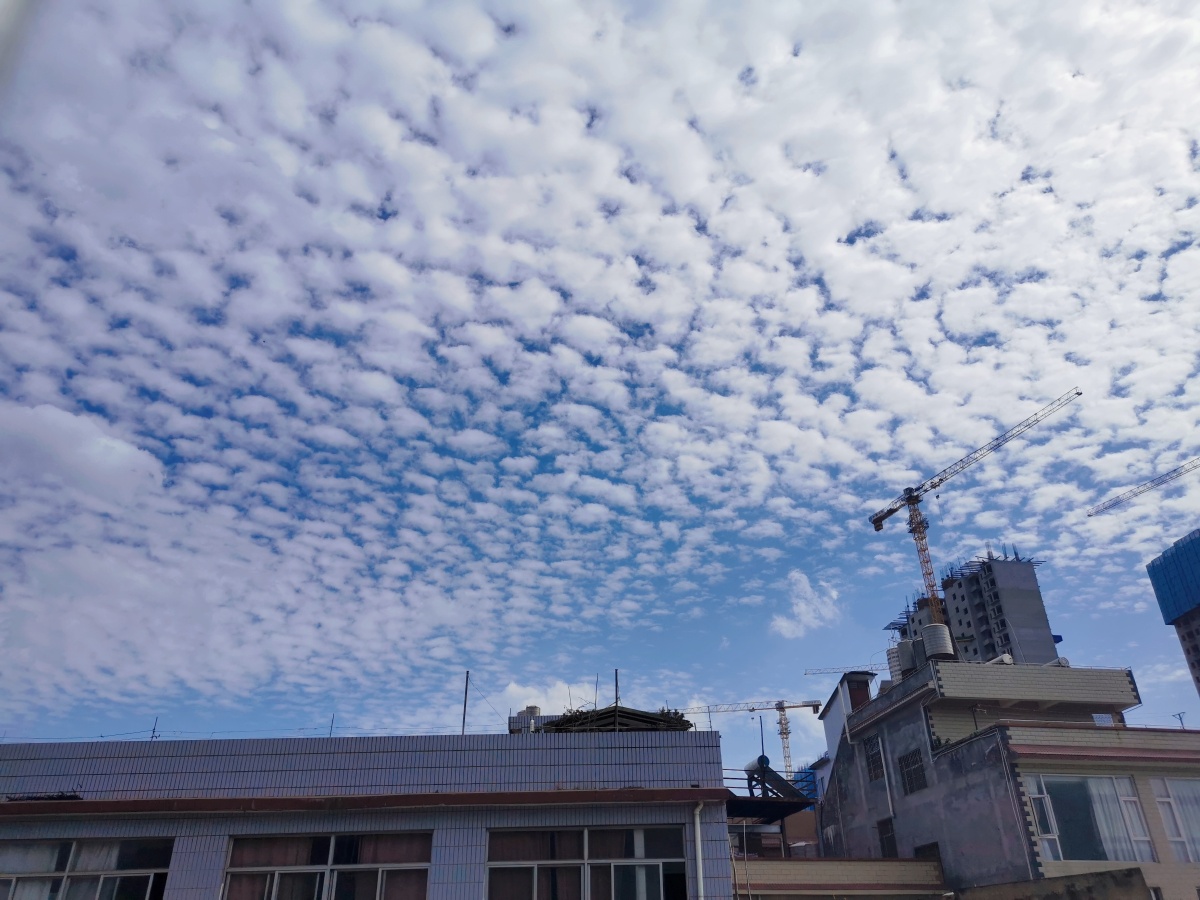 今日份层积云78