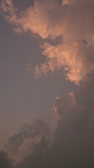 1451562