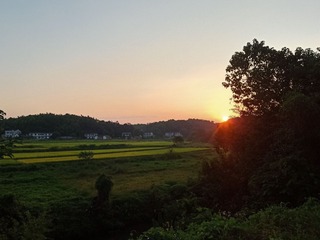 18417