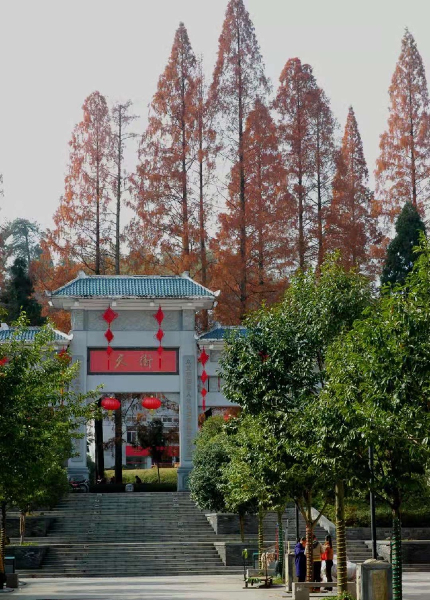 《天街》江西井冈山,茨坪市街景.