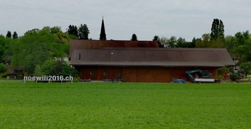 10631