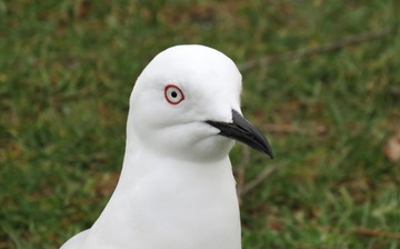 37413