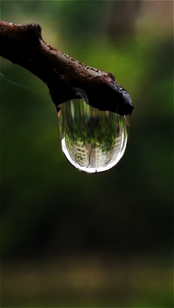 微距拍摄雨珠