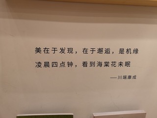 203061