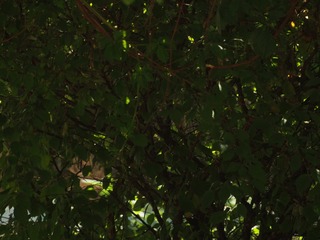 P6160030